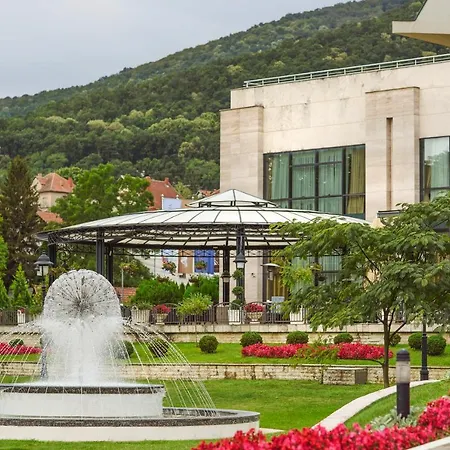 A - Izvor 5* Arandjelovac