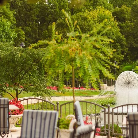 A - Izvor 5* Arandjelovac